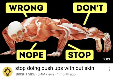 Anatomy Says Stop Push-Ups