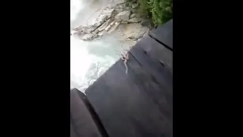 Лягушка соскальзывает в воду