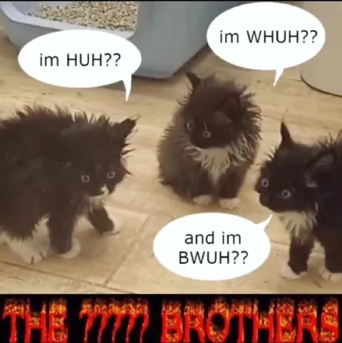 The Huh Brothers