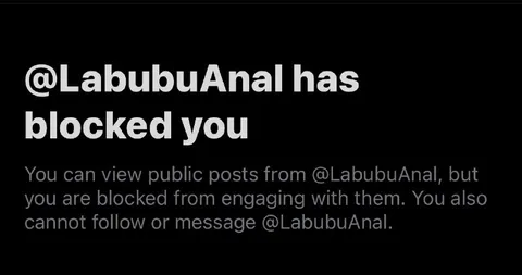 Blocked by LabubuAnal