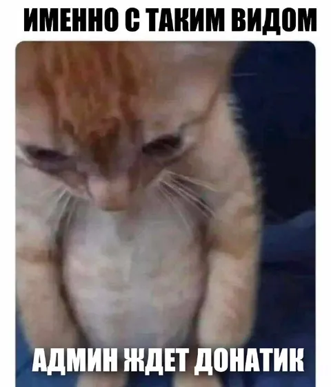 Админ ждёт донатик