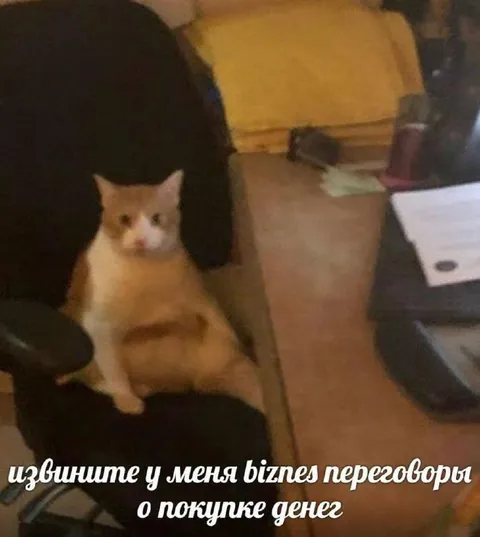 Бизнес-переговоры о покупке денег
