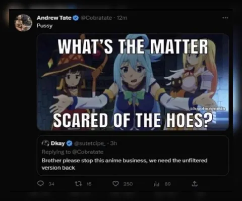 Scared of the Hoes Anime Tweet