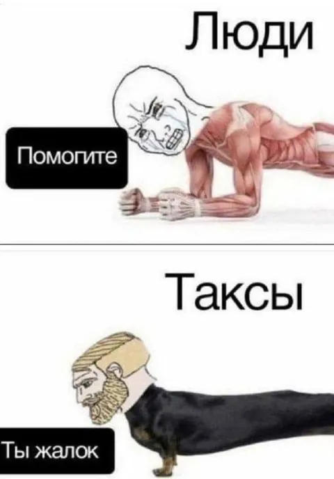 Люди просят помощи, таксы издеваются