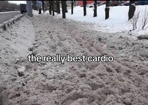 The Really Best Cardio