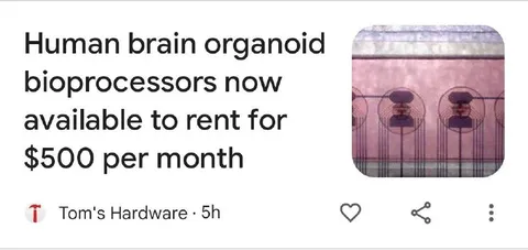 Brain Organoid Bioprocessors for Rent