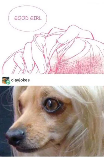 Good Girl Dog Reaction