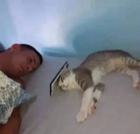 Мужчина спит рядом с котом