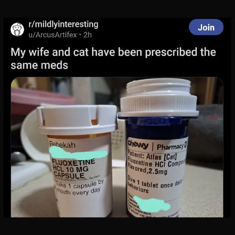 Wife and Cat Same Medication