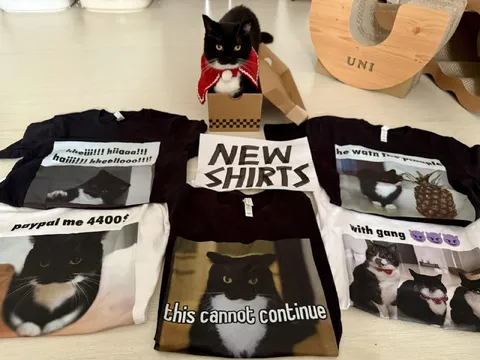 Cat Shirts Cannot Continue