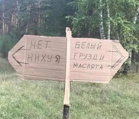 Грибная развилка без грибов