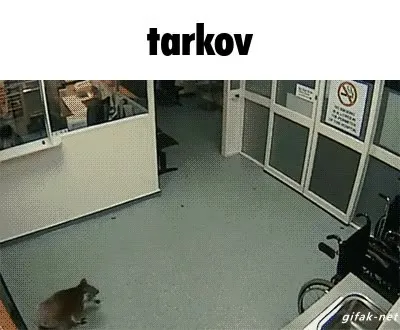 Tarkov Cat Escape