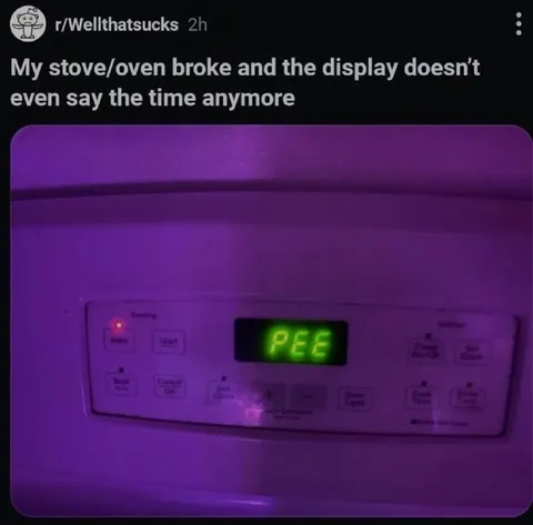 Broken Oven Display Says PEE