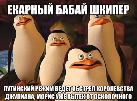 Шкипер в шоке от обстрела
