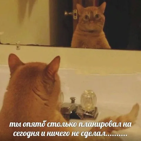 Опять ничего не сделал