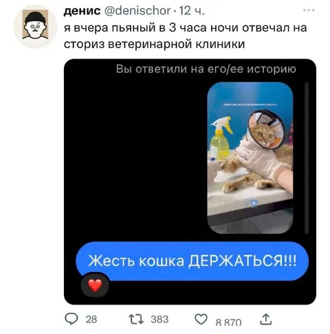 Пьяный ответ ветеринарной клинике