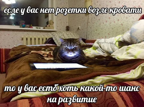 Шанс на развитие