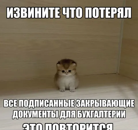 Кот потерял документы для бухгалтерии