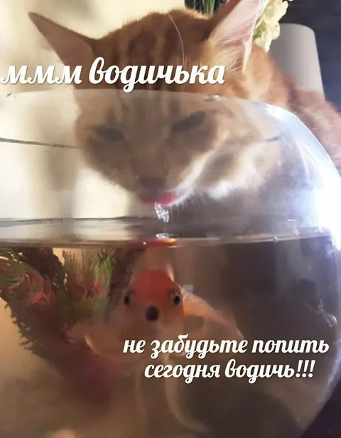 Ммм водичка для котика
