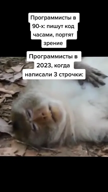 Программисты после трёх строк кода