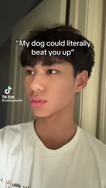 My Dog Could Beat You Up
