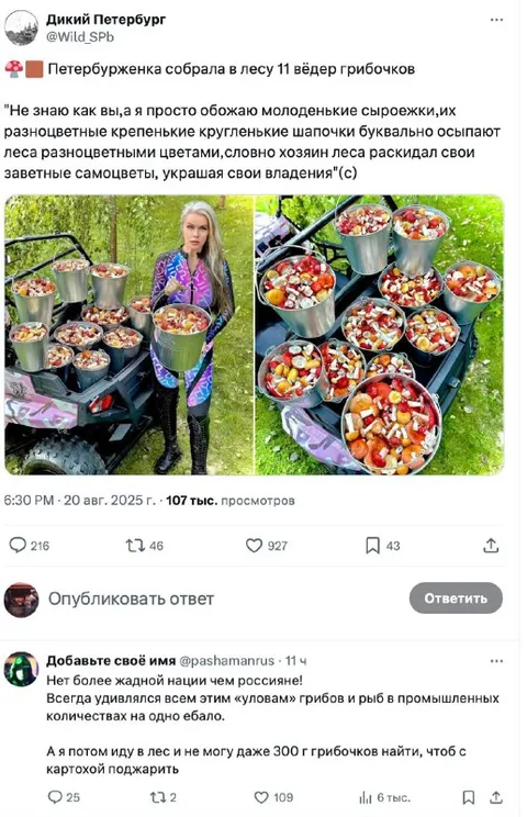 Петербурженка собрала 11 вёдер грибов