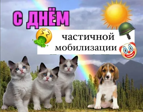 С днём частичной мобилизации