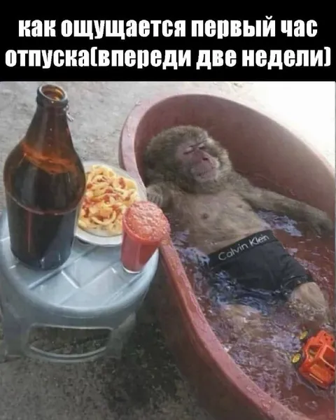 Первый час отпуска