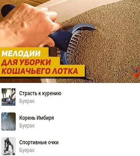 Музыка для уборки лотка