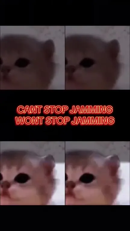 Mass Hypnosis Cat Jam