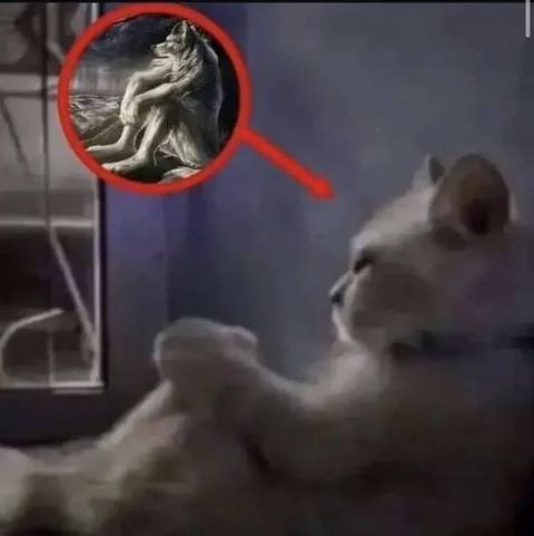 Кот, который всё понял