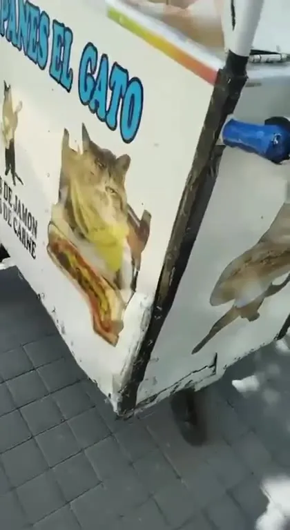 Panes El Gatito sobre ruedas