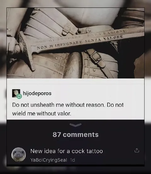 Do Not Unsheath Me