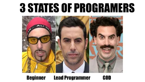3 States of Programmers