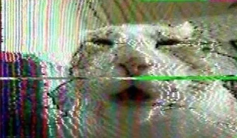 Искажённый кот с открытым ртом