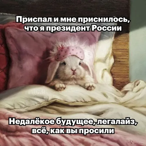 Приснилось будущее России