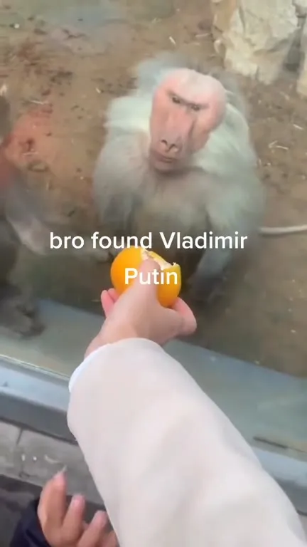 Bro Found Vladimir Putin