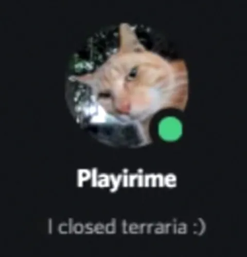 I Closed Terraria