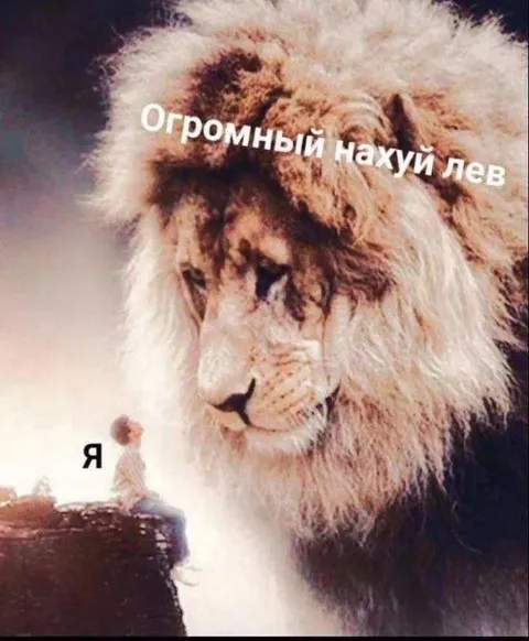 Огромный нахуй лев и я