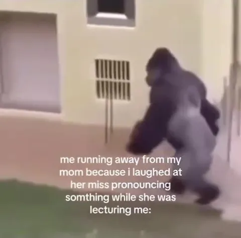 Gorilla Runs From Mom