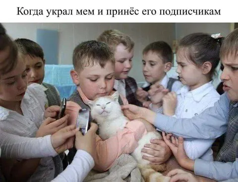 Украл мем и принёс подписчикам