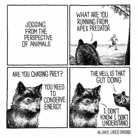 Running From the Apex Predator