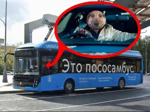 Это пососамобус