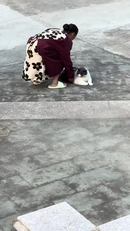 Женщина уносит огромного кота