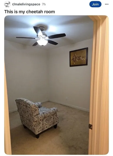 This Is My Cheetah Room
