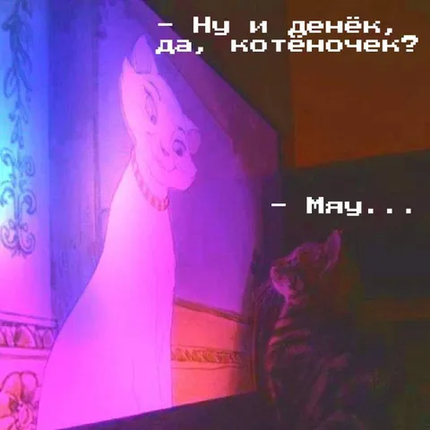 Ну и денёк, котёночек