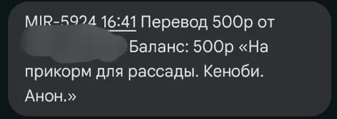 Перевод на прикорм для рассады