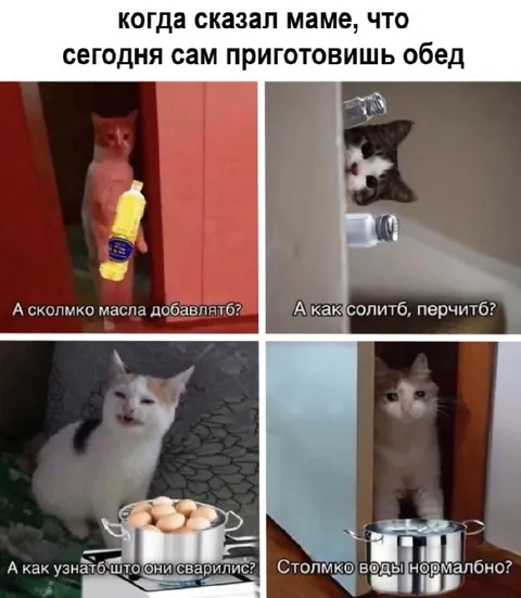 Сам приготовишь обед