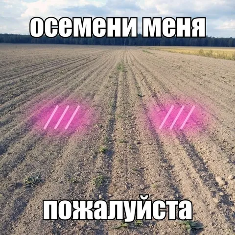Осемени меня пожалуйста