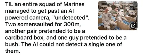 Marines Outsmart AI Camera